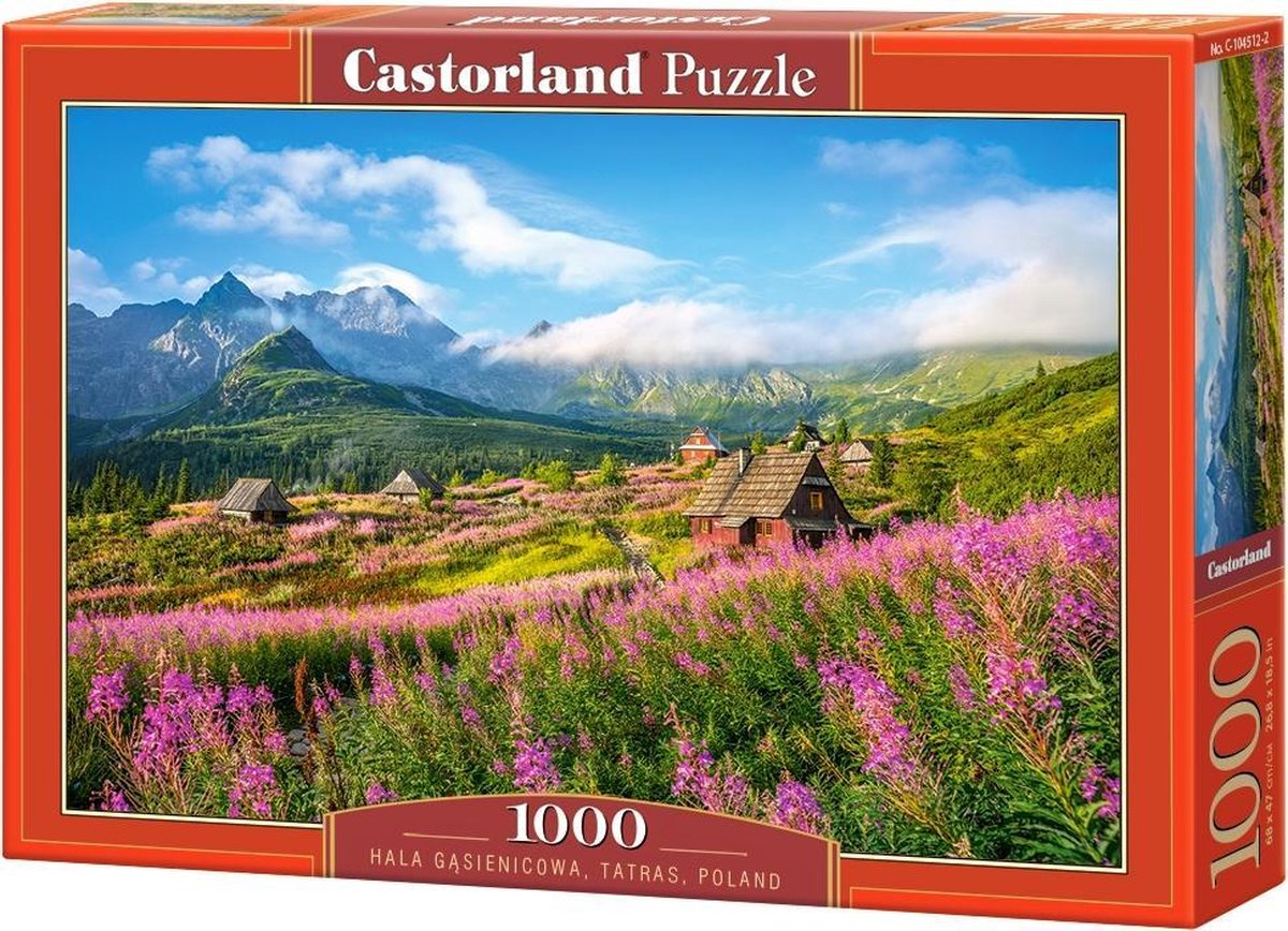 Hala Gąsienicowa Tatras Poland - 1000 stukjes