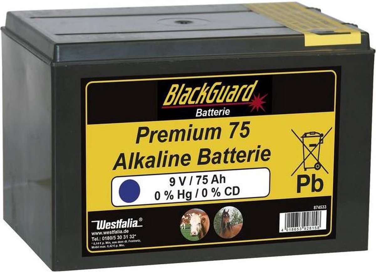 BlackGuard 9V Accu 120Ah