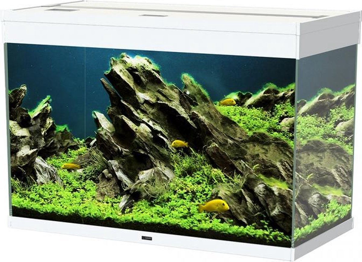 Ciano Aquarium emotions nature pro 80 Wit 81