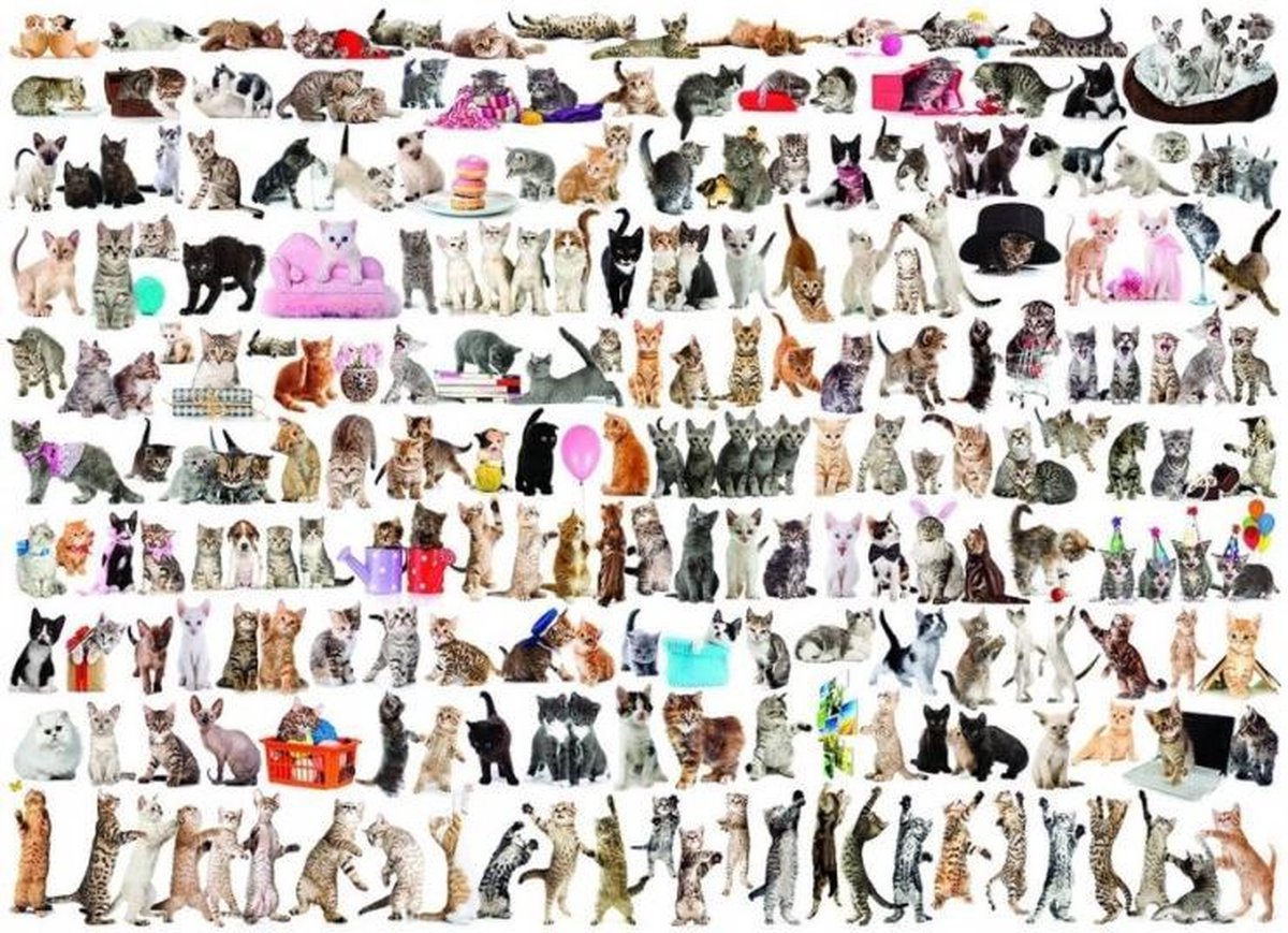 puzzel Eurographics The world of cats 2000 stukjes
