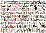 puzzel Eurographics The world of cats 2000 stukjes