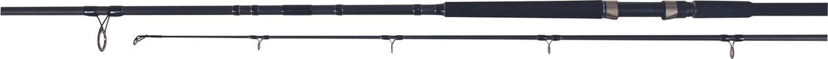Predox Big Cat - Meervalhengel - 320cm - 2 delig - 150-250 Gram