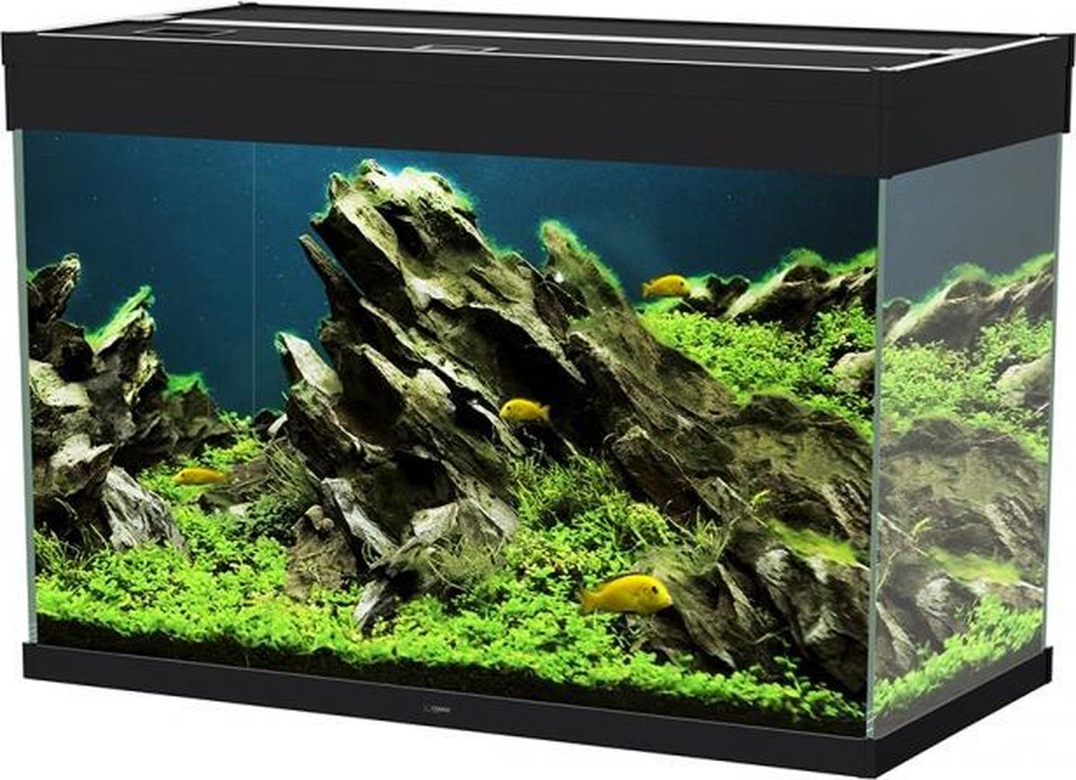 Ciano Aquarium emotions nature pro 80 Zwart 81