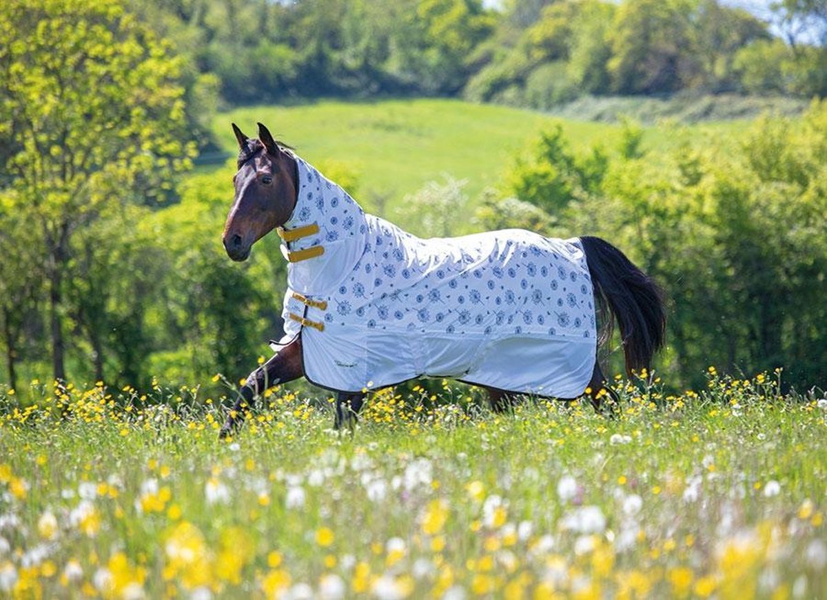 Vliegendeken met hals Tempest Dandelion Fly combo (9436) - Dandelion
