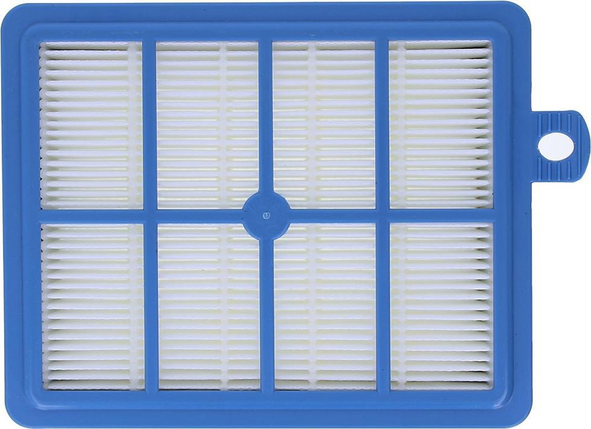 HEPA Filter AEF13W voor AEG stofzuigers