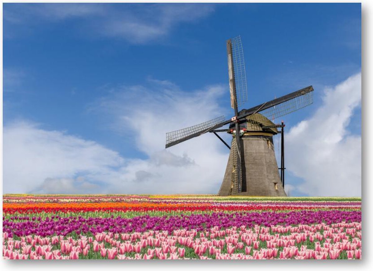 Bloemenveld en molen - Amsterdam - 120 Stukjes puzzel voor volwassenen - Landschap - Natuur - Bloemen