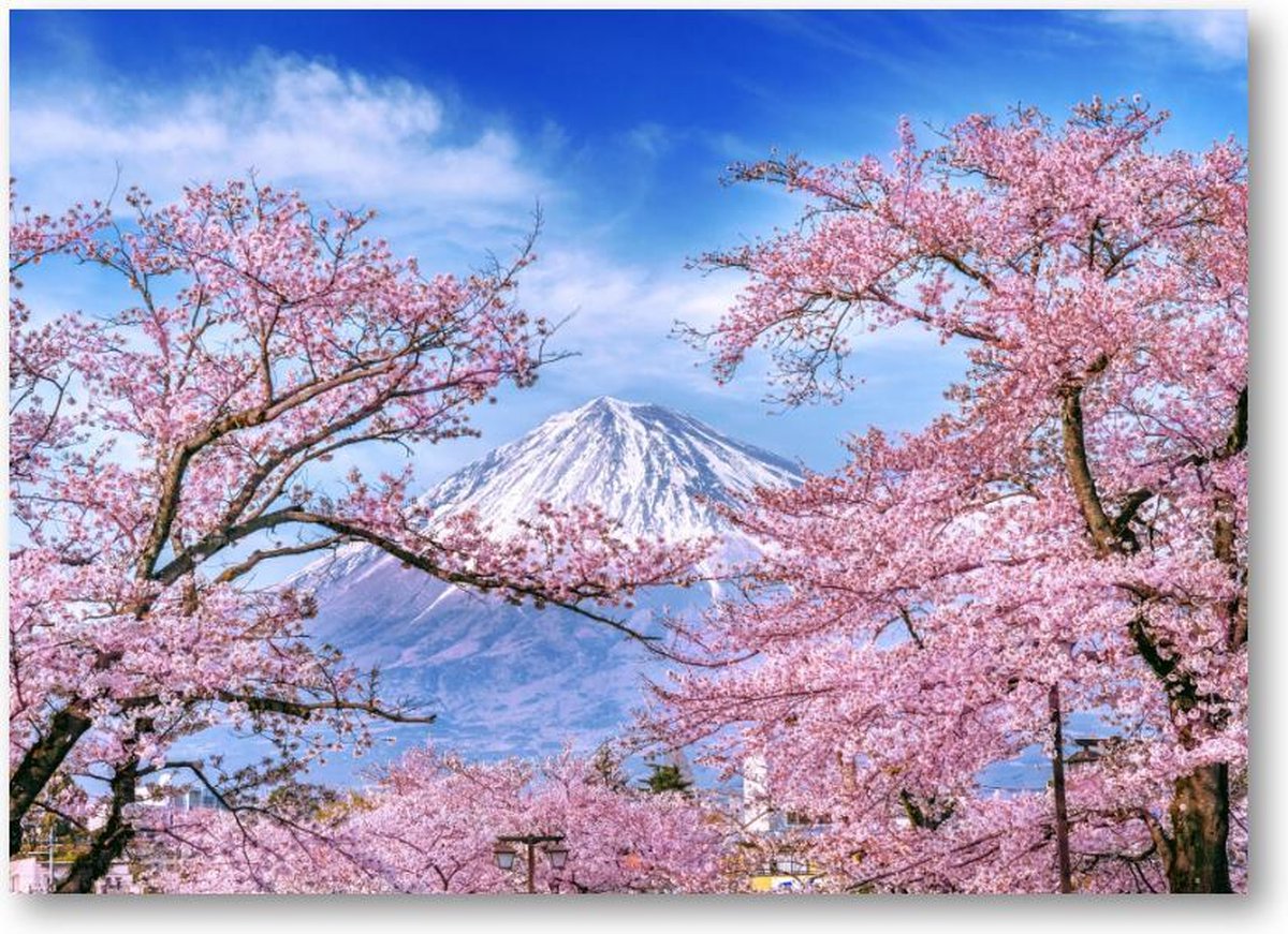 Fuji-berg en kersenbloesems in de lente