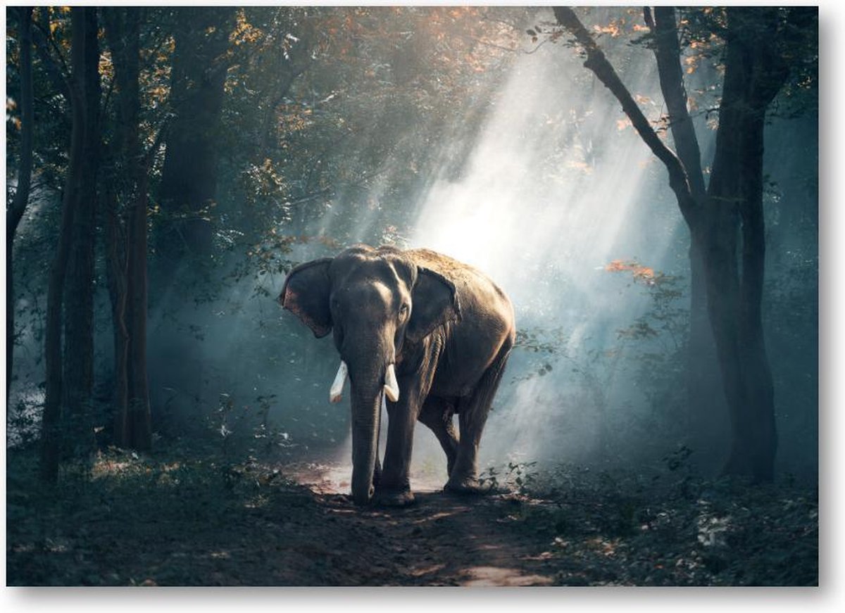 Olifant - 120 Stukjes puzzel voor volwassenen - Besteposter - Dieren