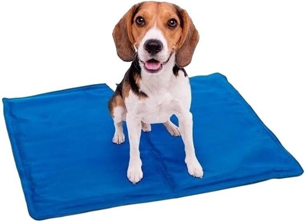 Koelmat voor honden - 40x50cm - Blauw