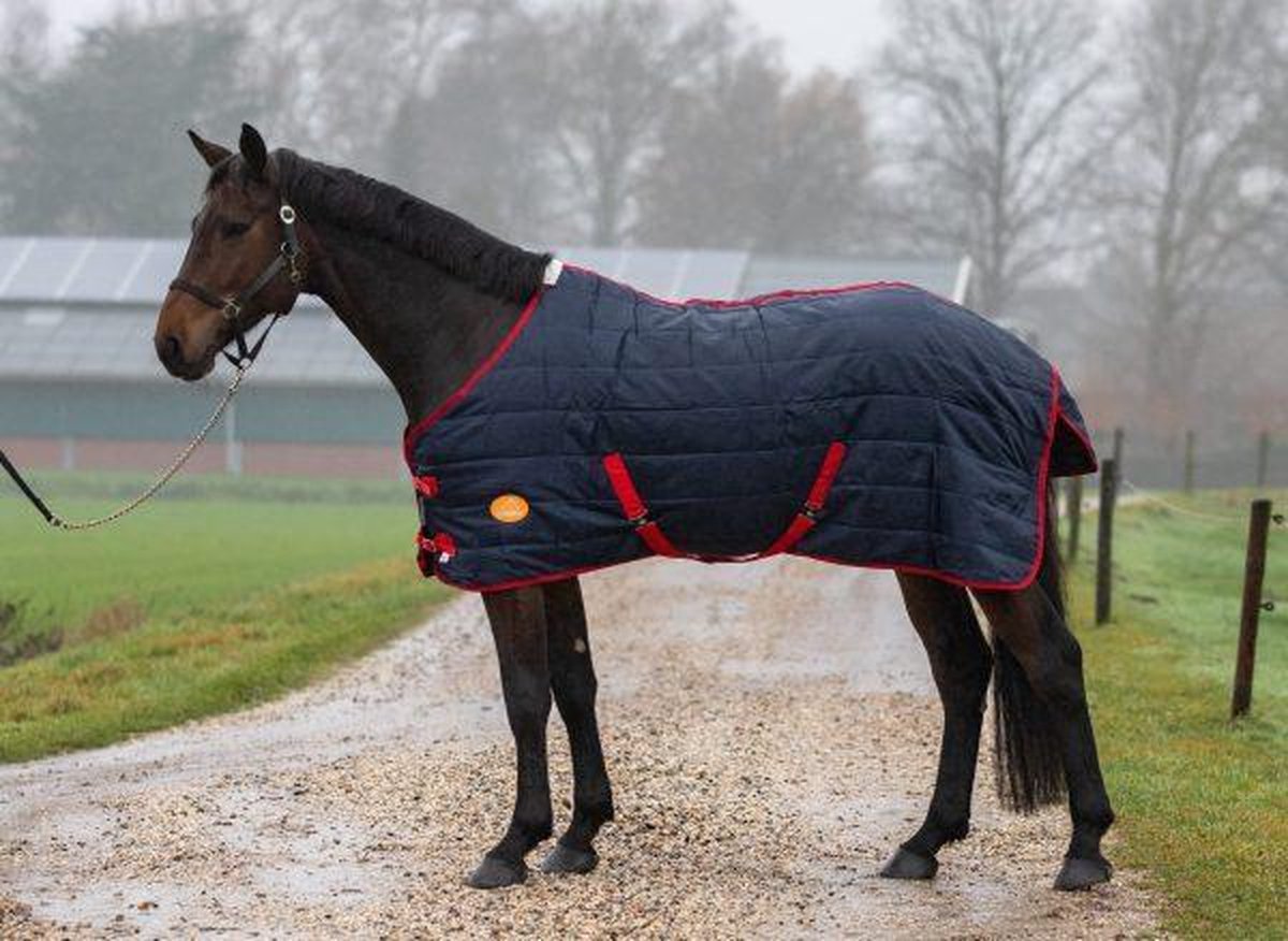 G-Horse | Staldeken | 200 gram | 205 cm | Navy