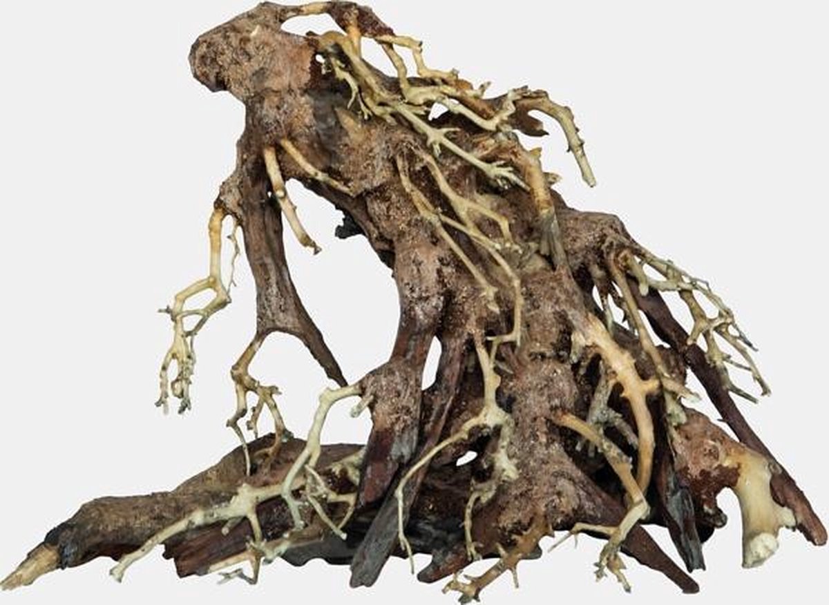 Superfish aquariumdecoratie bonsai root small