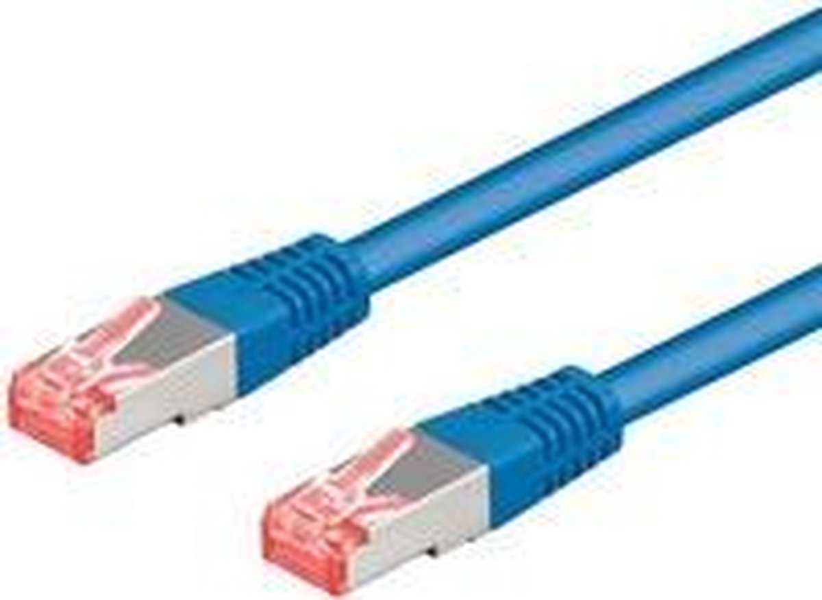 Wentronic Cat6a-100