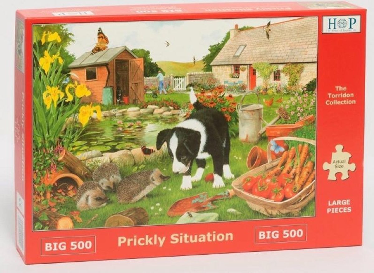 Legpuzzel - XL 500 Grote Stukken - Prickly Situation - House Of Puzzels