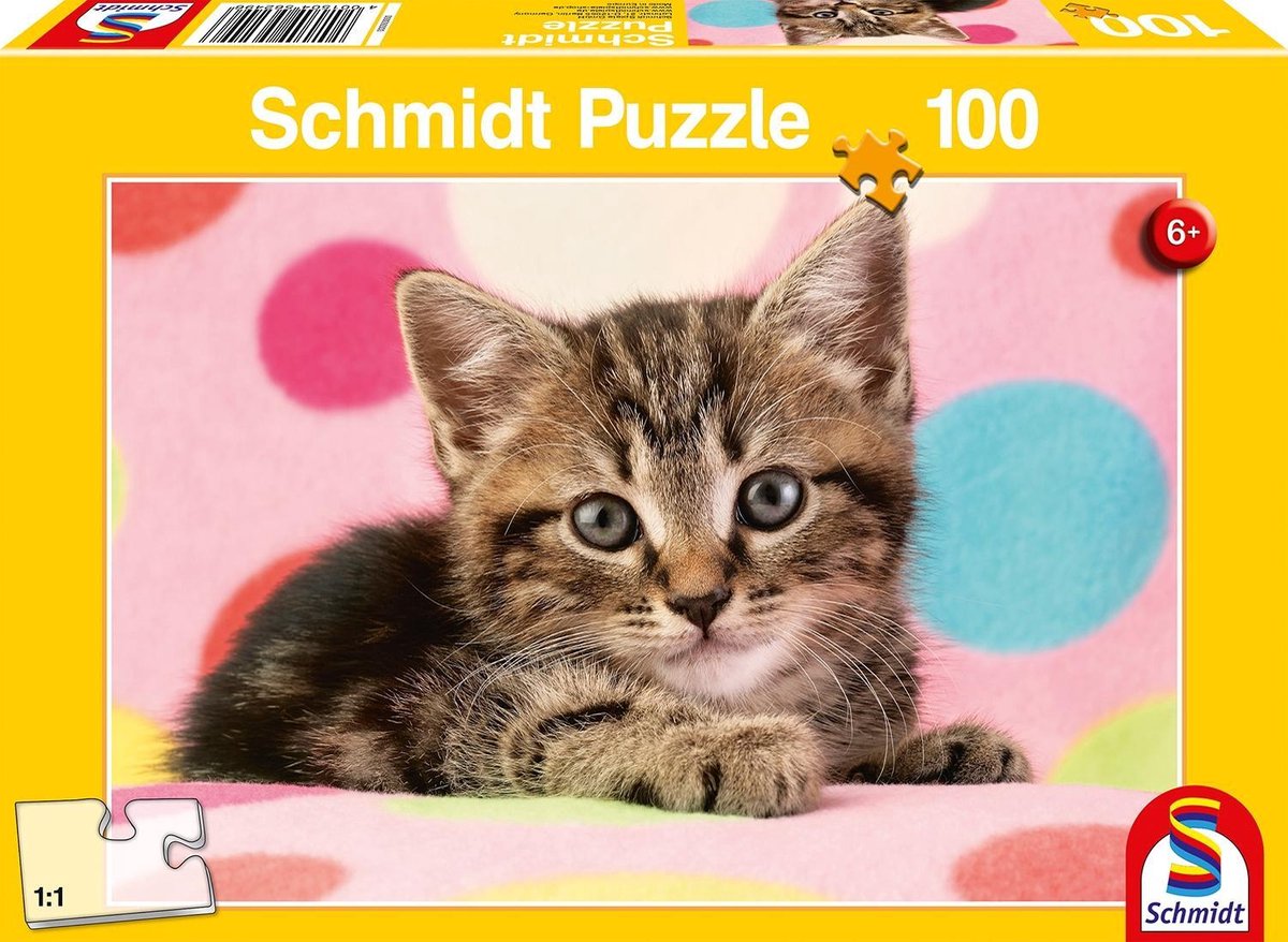 Schmidt Cute Kitten