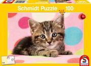 Schmidt Cute Kitten