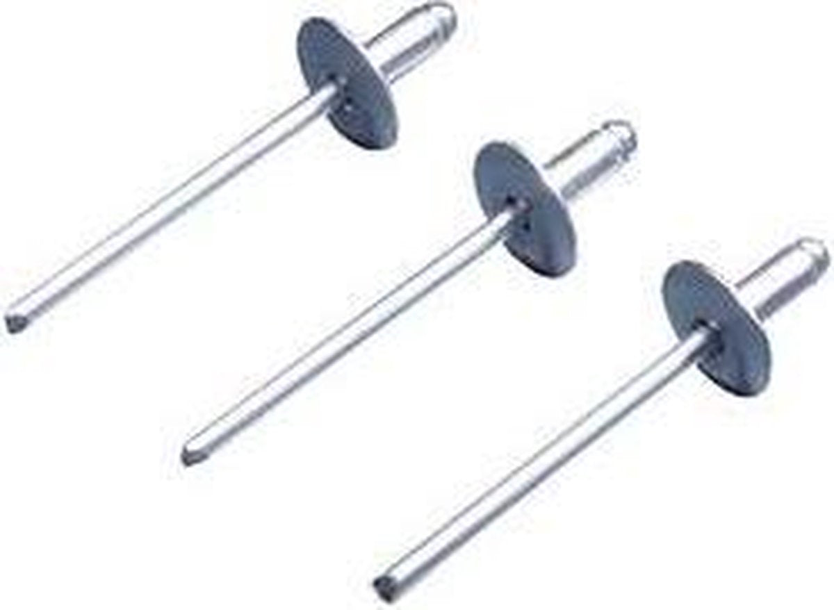Rittal TS 8800.531 Rivet Aluminium (Ø) 4.5 mm 100 pc(s)