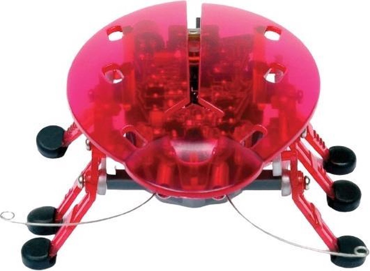 Hexbug Speelfiguur Kever Junior 7