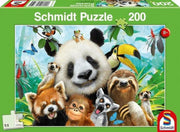 Dieren Plezieren