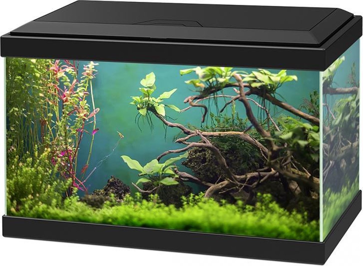 Ciano Aquarium aqua 20 classic Zwart 40x20x24