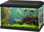Ciano Aquarium aqua 20 classic Zwart 40x20x24