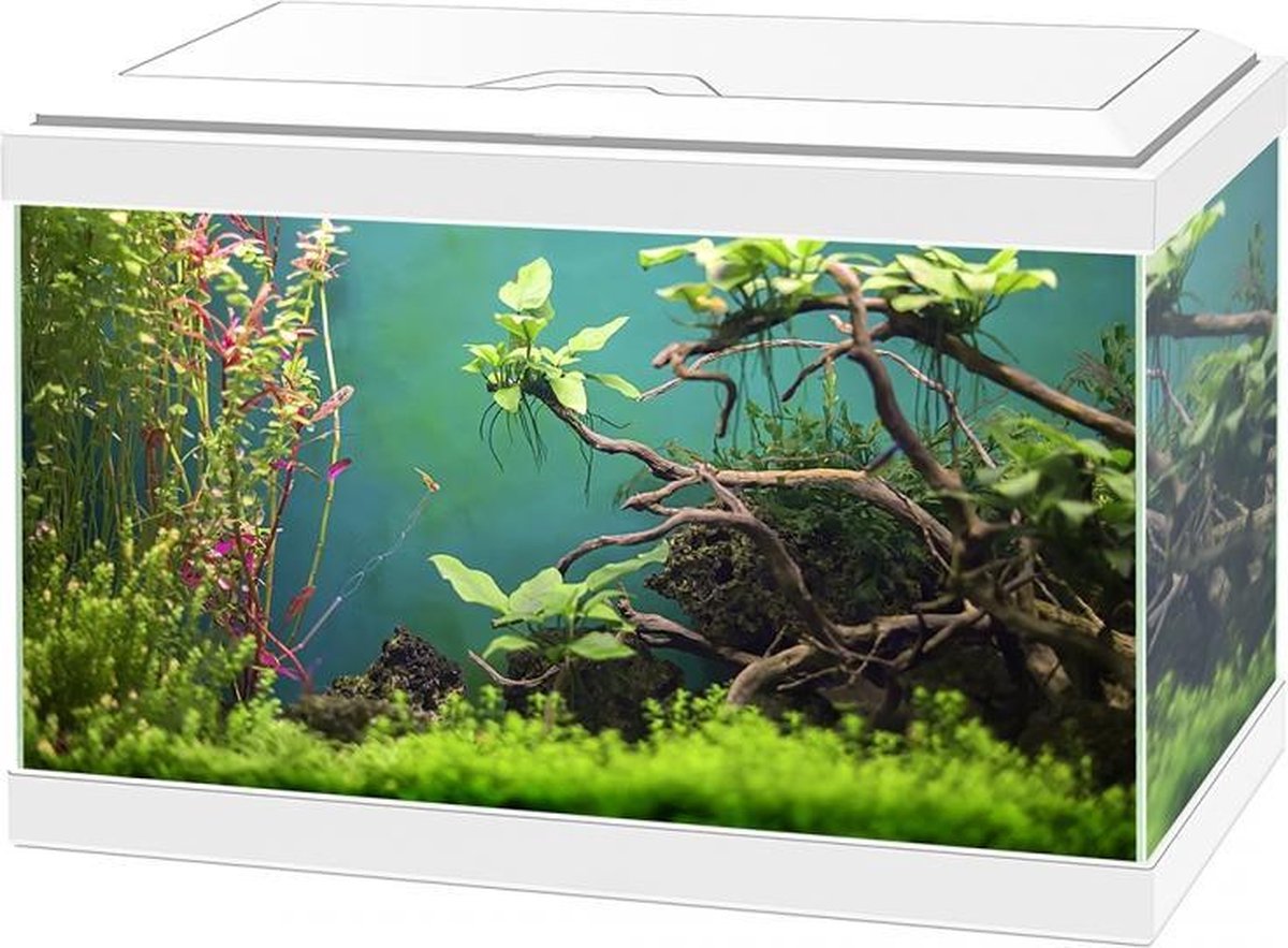 Ciano Aquarium aqua 20 classic Wit 40x20x24