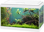 Ciano Aquarium aqua 20 classic Wit 40x20x24