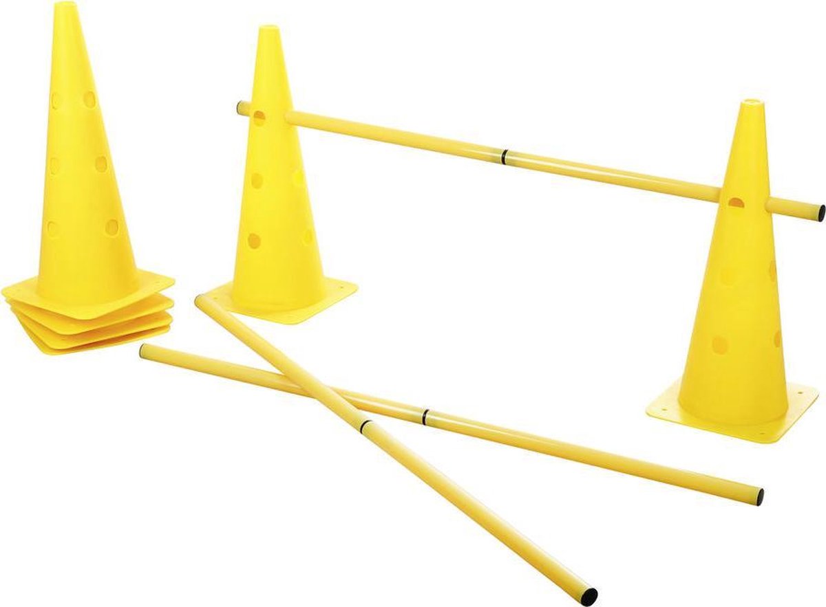 Agility hindernissenset honden