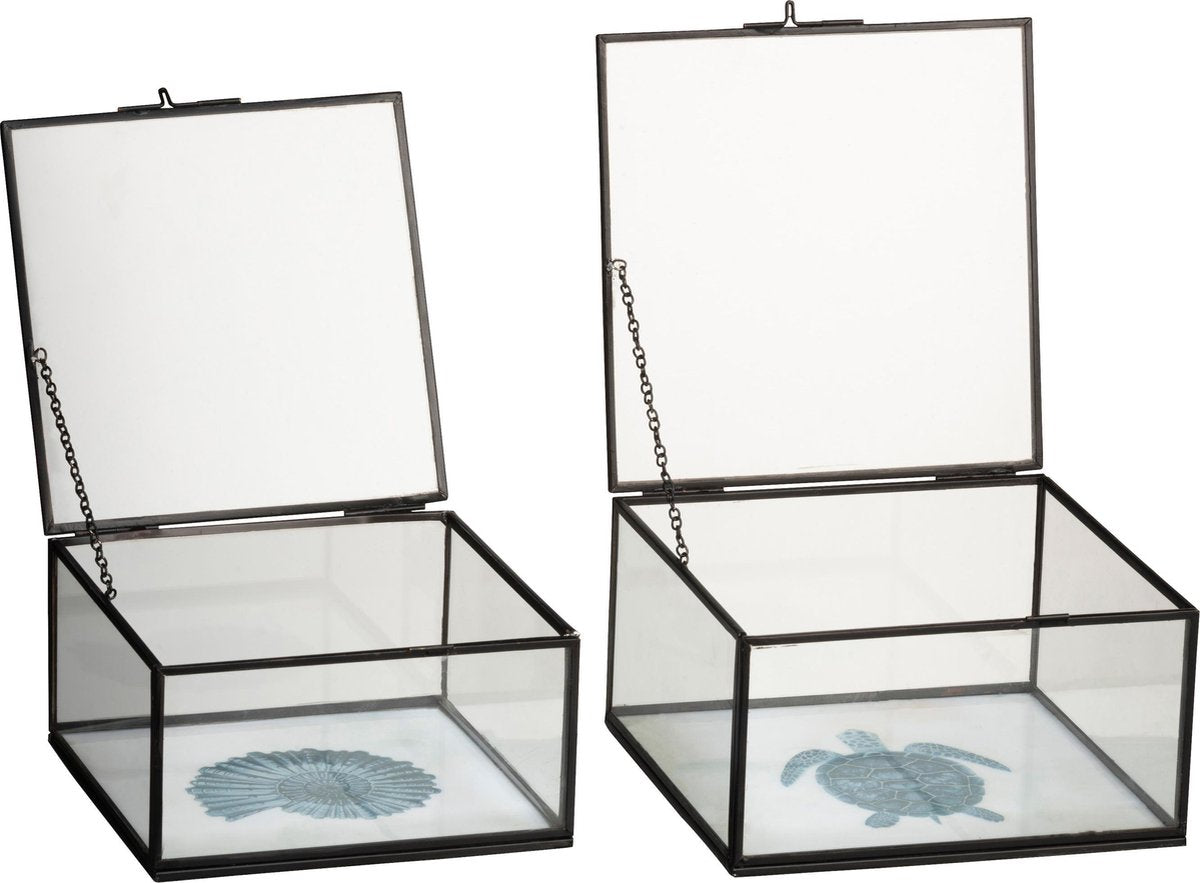 J-Line Set 2 Dozen Schildpad/Schelp Metaal/Glas Zwart/Wit/Blauw
