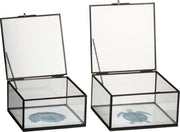 J-Line Set 2 Dozen Schildpad/Schelp Metaal/Glas Zwart/Wit/Blauw