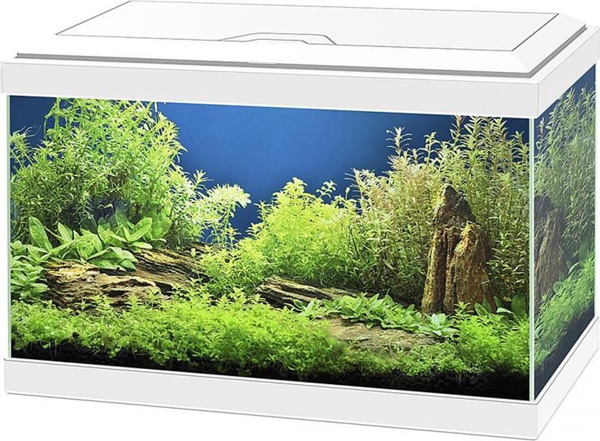 Ciano Aquarium aqua 20 led Wit 40x20x24