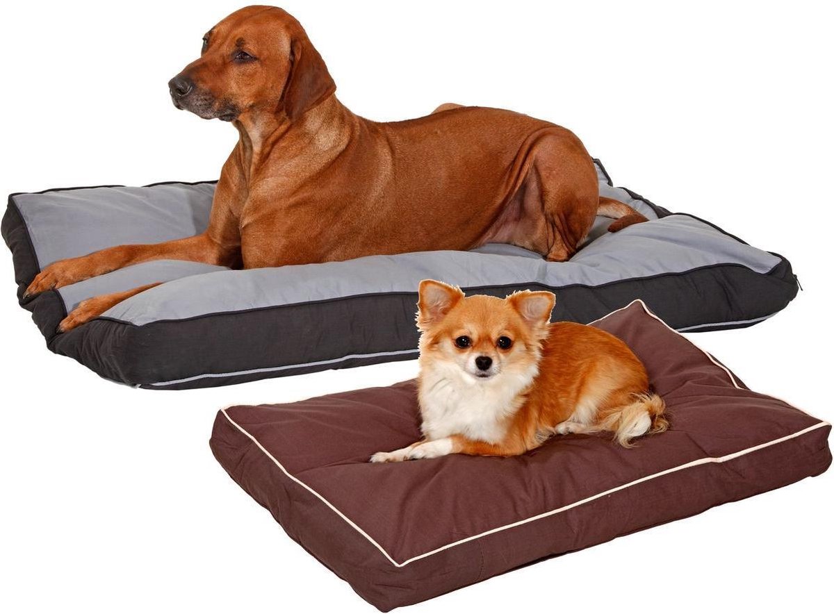 Cushion doc bed square