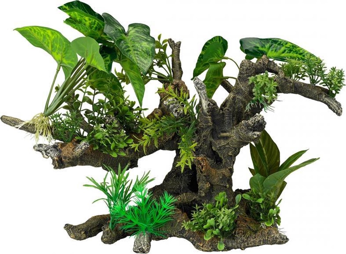 Auqa Della Florascape 10 XXL 41x23