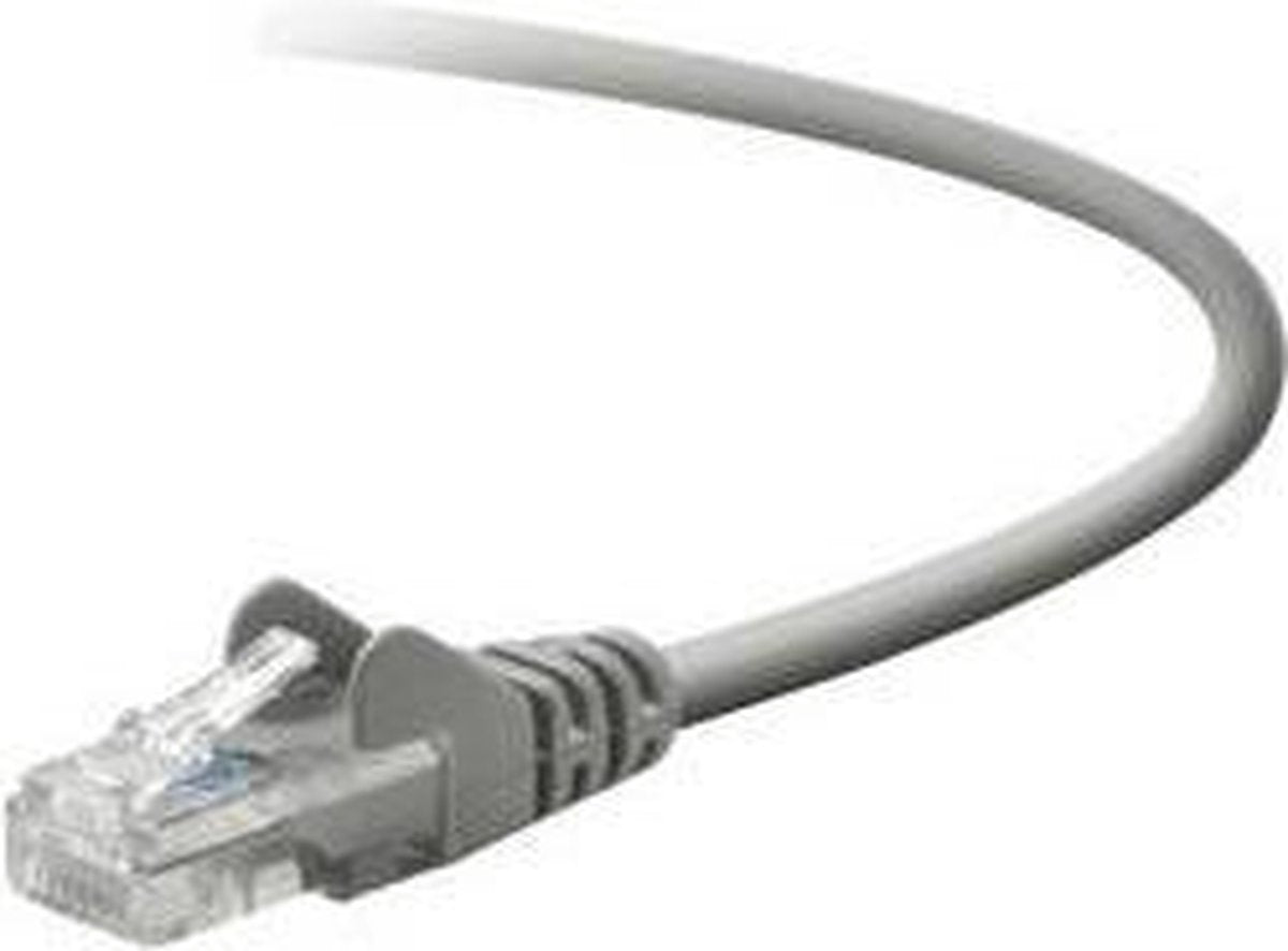 Belkin - Verbindingskabel - RJ-45 (M) naar RJ-45 (M) - 30 m - UTP - CAT 5e - zonder haken
