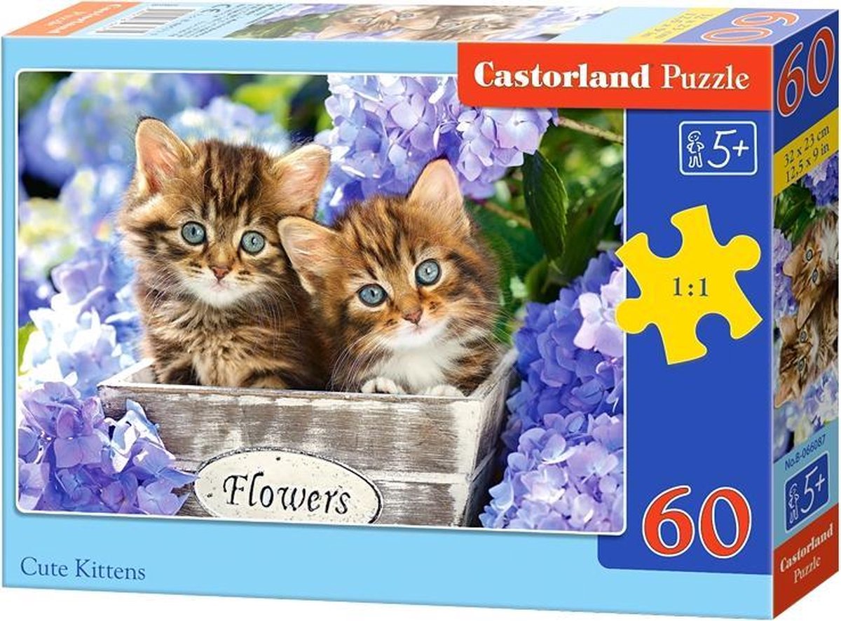 Cute kittens - 60 stukjes