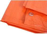 Oranje afdekzeil / dekzeil - 6 x 10 meter - dekkleed / zeil