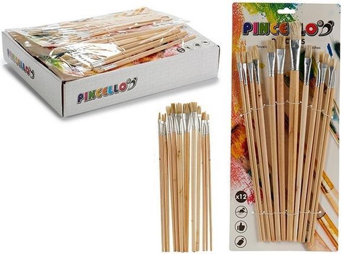 Set penselen - kwast voor schilderen - hout - 12 stuks