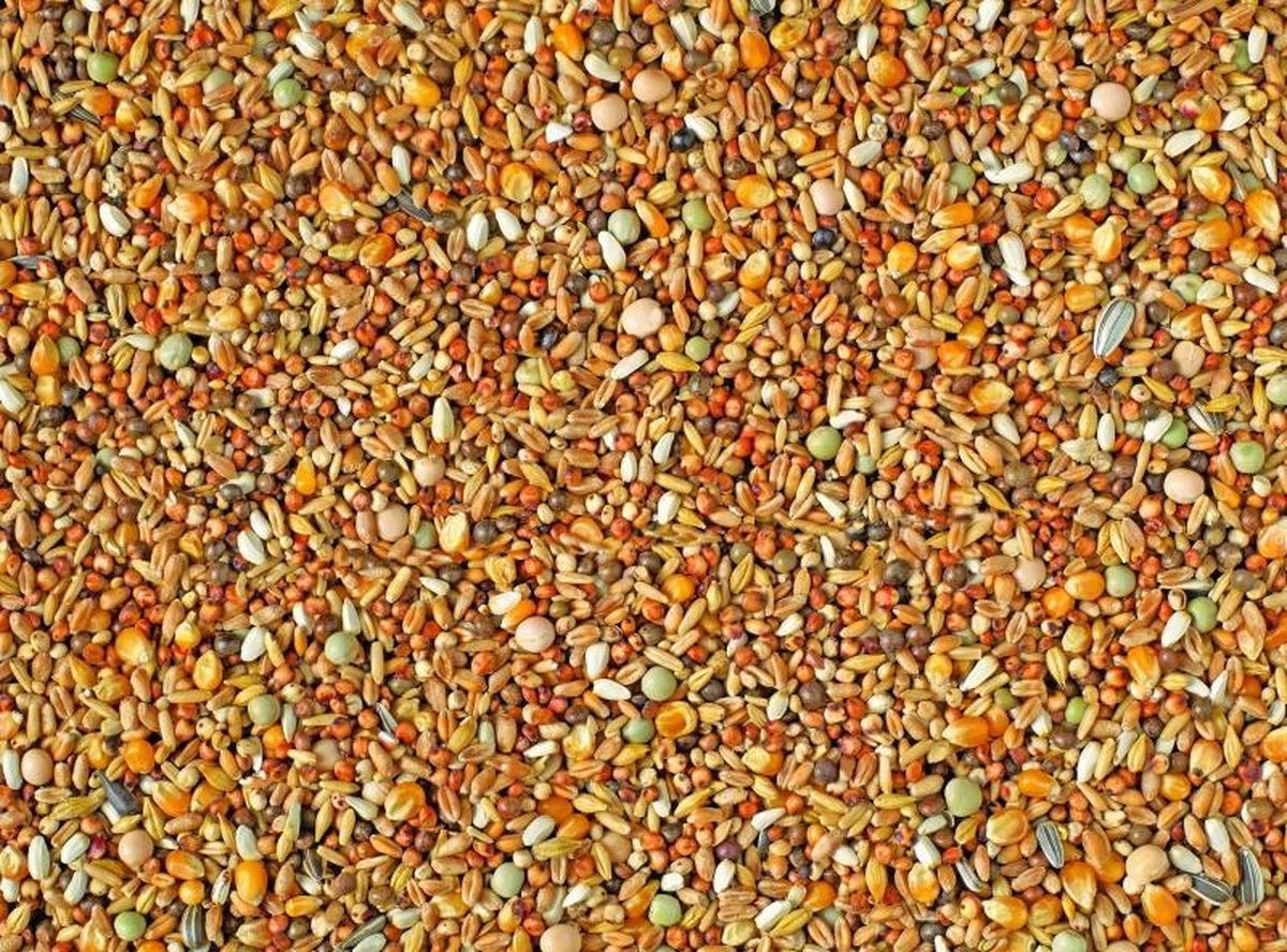 Natural sierduiven + kleine mais p30 25KG