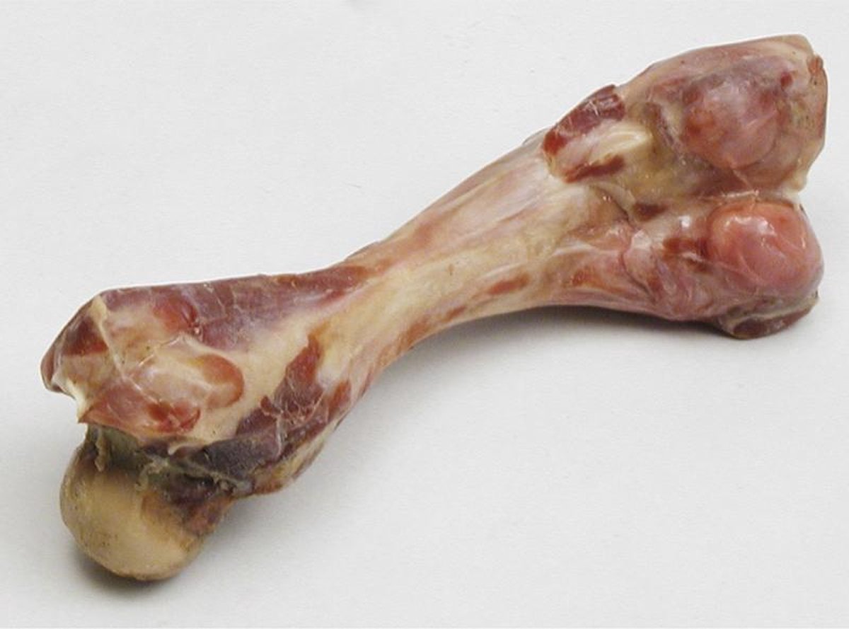 Ebi Bone kalfsbot 20CM