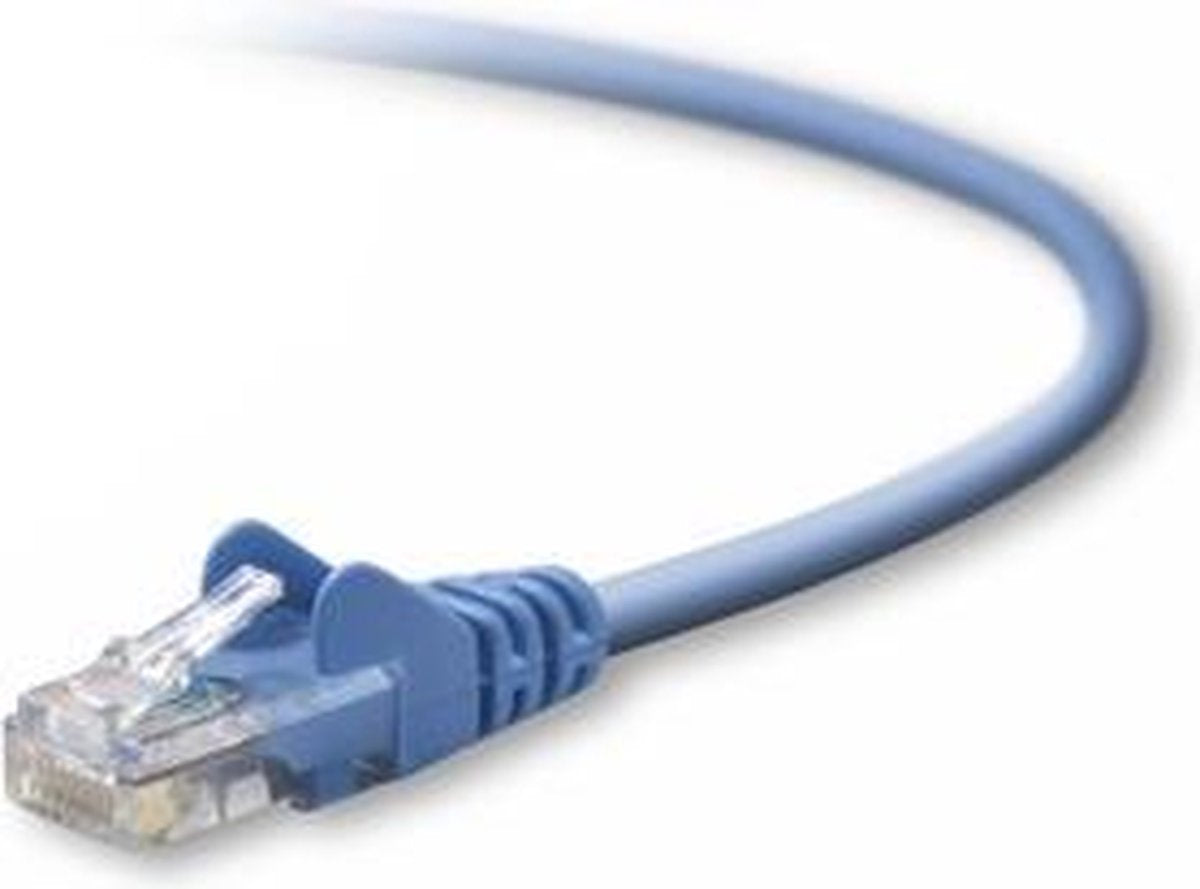 Belkin UTP CAT5e 5 m