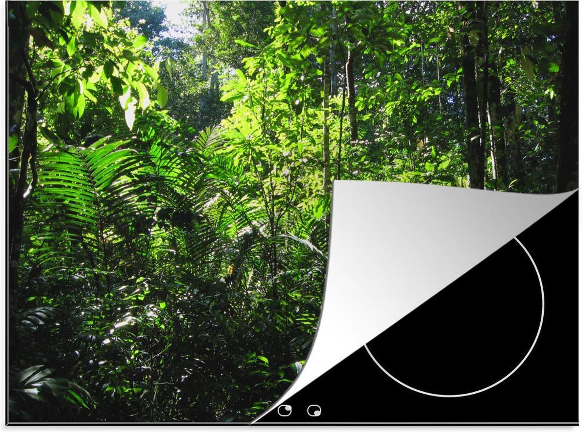 Luxe inductie beschermer Brazilie - 75x52 cm - Regenwoud Brazilie fotoprint  - inductiebeschermer