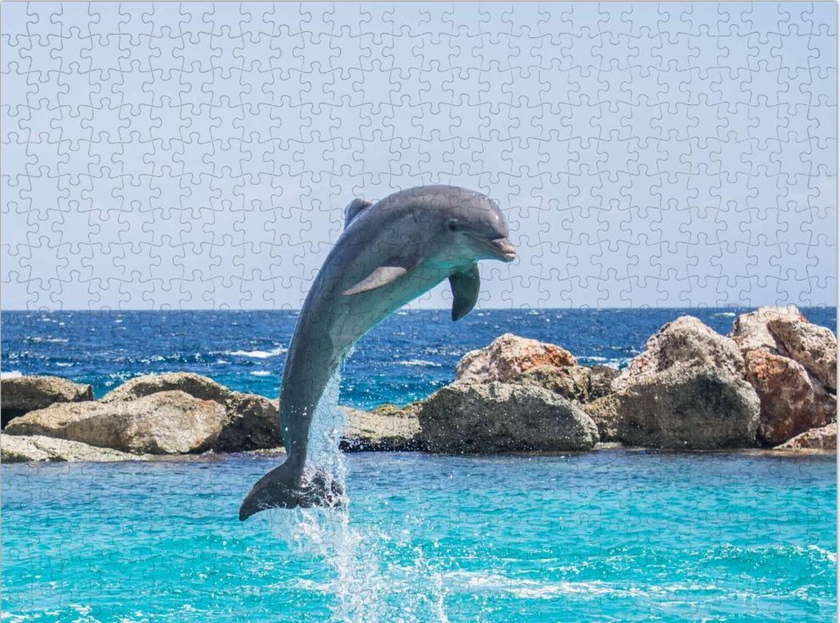 Springende Dolfijn in het Water - Lastige Puzzel 500 Stukjes | Dolfijn - Springen - Oceaan - Zoogdier