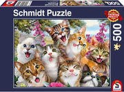 Katten Selfie