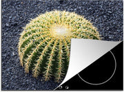 Luxe inductie beschermer Schoonmoedersstoel Cactus - 75x52 cm - Schoonmoedersstoel cactus in grond  - inductiebeschermer