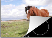Luxe inductie beschermer Paarden - 75x52 cm - Paard staat in gras  - inductiebeschermer