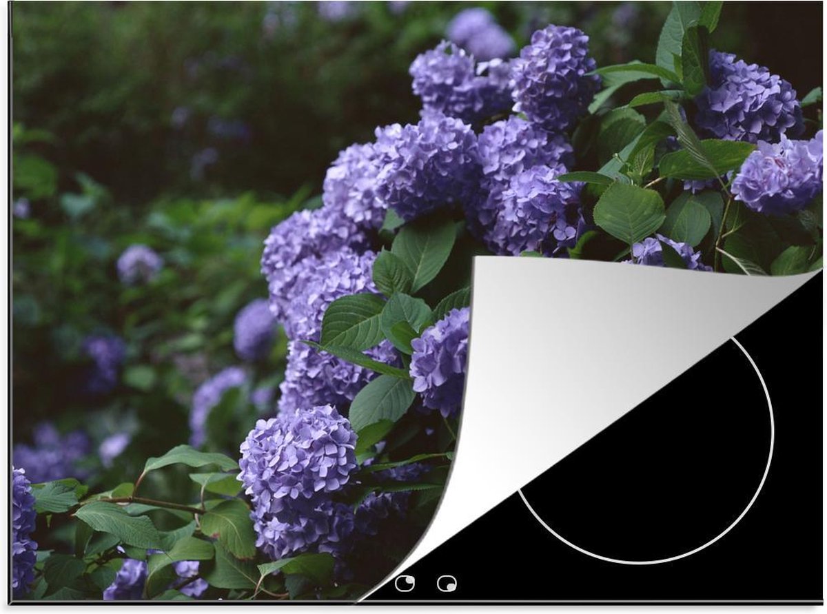 Luxe inductie beschermer hortensia - 70x52 cm - Duisternis om hortensia in tuin  - inductiebeschermer