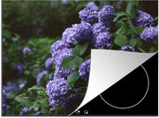 Luxe inductie beschermer hortensia - 70x52 cm - Duisternis om hortensia in tuin  - inductiebeschermer