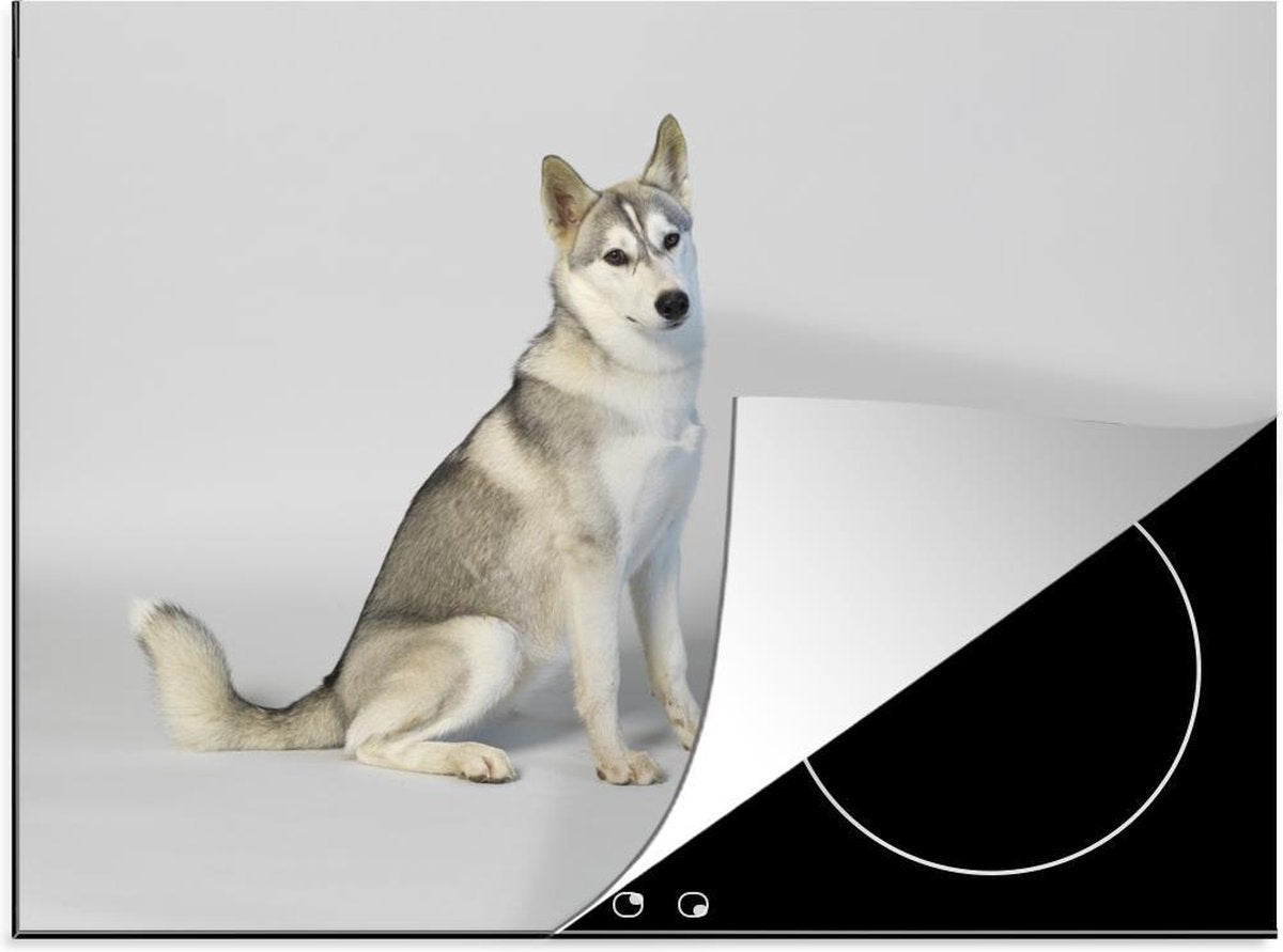 Luxe inductie beschermer Husky - 70x52 cm - Husky voor witte achtergrond  - inductiebeschermer