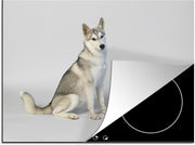 Luxe inductie beschermer Husky - 70x52 cm - Husky voor witte achtergrond  - inductiebeschermer