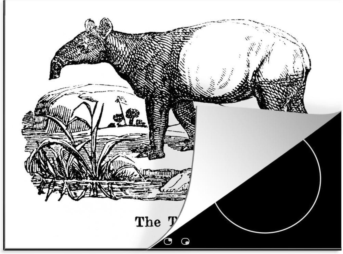 Luxe inductie beschermer Tapirus illustratie - 70x52 cm - Illustratie van tapir in veld in zwart-wit  - inductiebeschermer