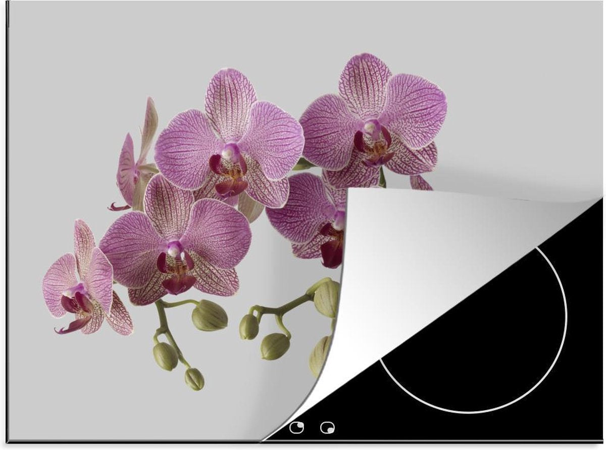 Luxe inductie beschermer Roze orchidee - 70x52 cm - Roze orchideeën op grijze achtergrond  - inductiebeschermer